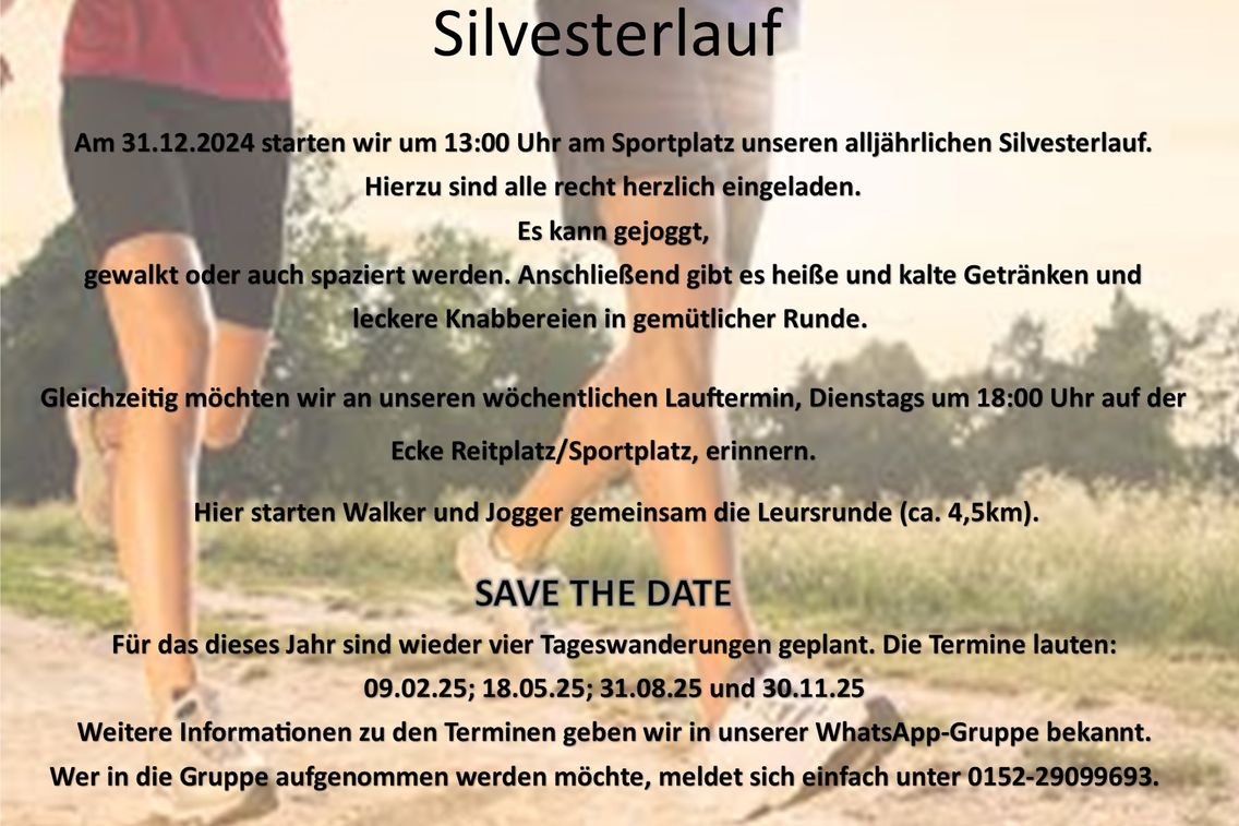 Foto zum Newsartikel Silvesterlauf